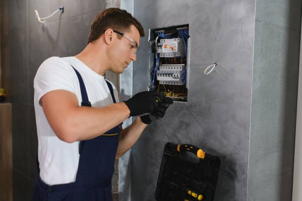 Best Electric Panel Repair  in Monroe, UT